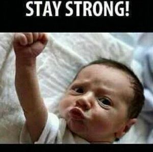 Meet your Posher, Theo